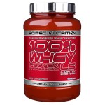 Scitec Nutrition 100% Whey Protein Prof 5000г  