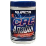 Pro Nutrition CreAnabol 250г