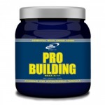 Pro Nutrition Pro Building (BCAA 4:1:1) 500 г