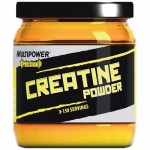 MULTIPOWER MP Pro Creatine 450г