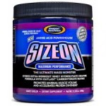 Gaspari Nutrition Size On 330 г